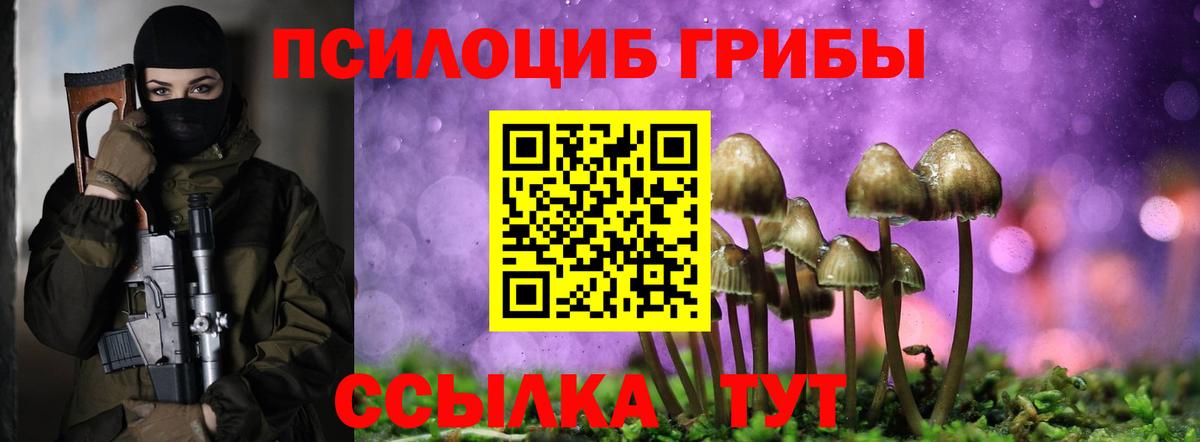 Галлюциногенные грибы Cubensis  Галлюциногенные грибы мухоморы  сколько стоит  Вход с VPN  Лесозаводск 